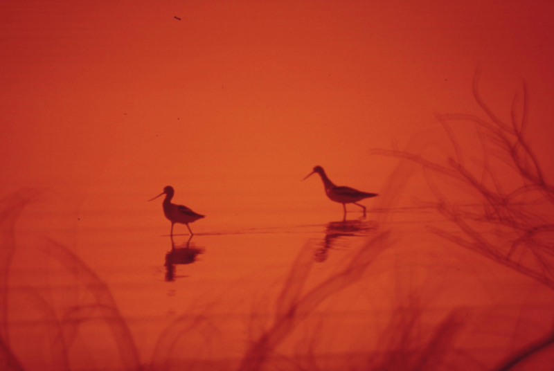 EduCare Germany – Beratungs- und Vermittlungsservice für Studium, Ausbildung & Arbeit in Deutschland